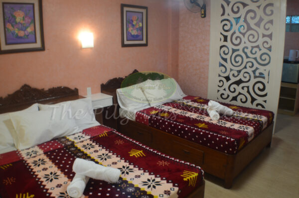 ROOM 102 - Image 2